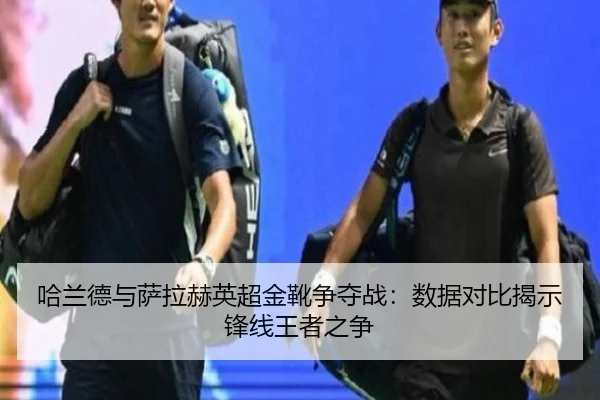 ha-lan-de-yu-sa-la-he-ying-chao-jin-xue-zheng-duo-zhan-shu-ju-dui-bi-jie-shi-feng-xian-wang-zhe-zhi-zheng-2-325.jpg