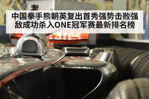 中国拳手熊朝英复出首秀强势击败强敌成功杀入ONE冠军赛最新排名榜