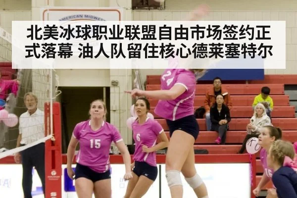 北美冰球职业联盟自由市场签约正式落幕 油人队留住核心德莱塞特尔