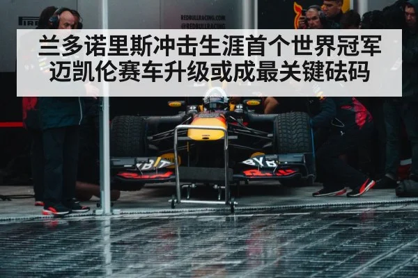 兰多诺里斯冲击生涯首个世界冠军 迈凯伦赛车升级或成最关键砝码