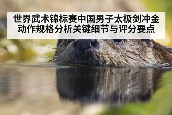 世界武术锦标赛中国男子太极剑冲金动作规格分析关键细节与评分要点